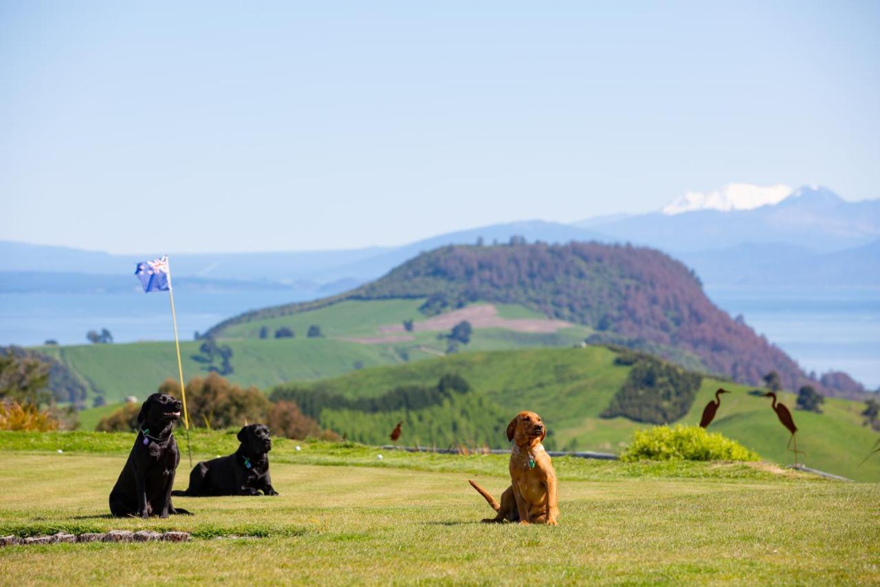 Hilltop Whakaipo Estate Bed & Breakfast Taupo