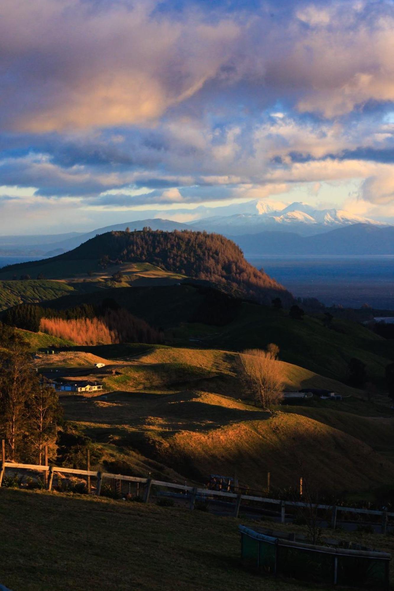 Bed & Breakfast Hilltop Whakaipo Estate